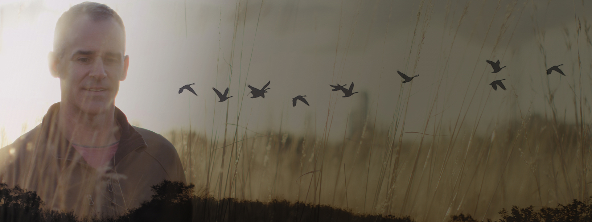 Joe Allaben amid trees and ducks